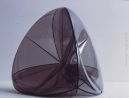 Steiner Surface Steiner Surface