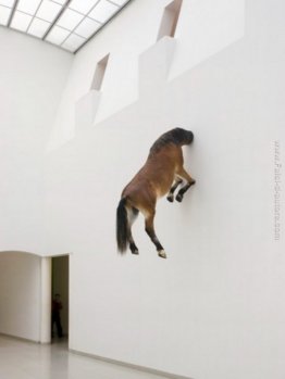 Senza titolo Senza titolo