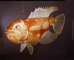 Senza titolo Senza titolo