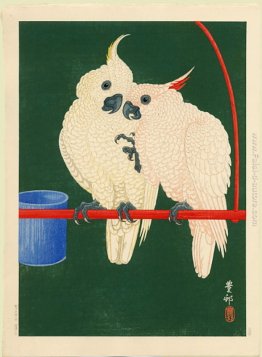 Due cacatua bianchi su una barra rossa Due cacatua bianchi su una barra rossa