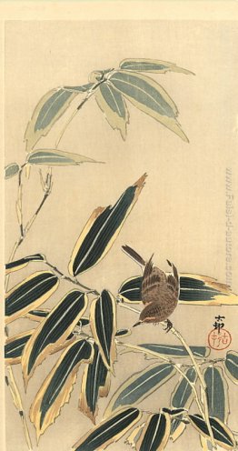 Culbianco e Bamboo Culbianco e Bamboo
