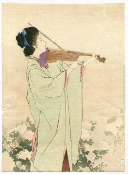 Violinista Violinista