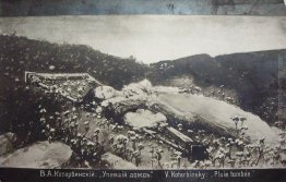 Pioggia caduta Pioggia caduta