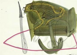 Senza titolo Senza titolo