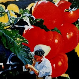 Le debutto du jour Le debutto du jour