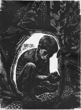 Giorno del Falco Giorno del Falco