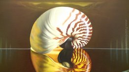 Memoria della lumaca Memoria della lumaca