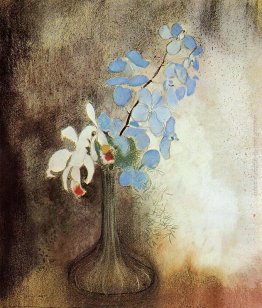 Orchidee Orchidee