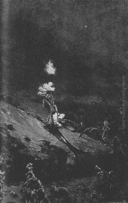 The Vineyard della Desolazione The Vineyard della Desolazione