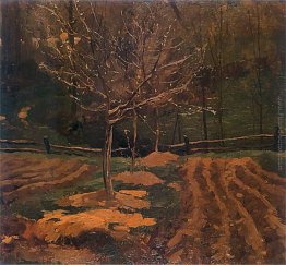 Przedwio?nie Przedwio?nie