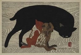 Gatto e gattini Gatto e gattini