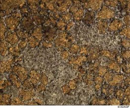 La vita senza l'uomo III La vita senza l'uomo III