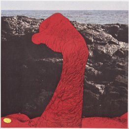 3 illustrazioni per 'Killed By Rose' (un libro di ritratti di Yu 3 illustrazioni per 'Killed By Rose' (un libro di ritratti di Yu