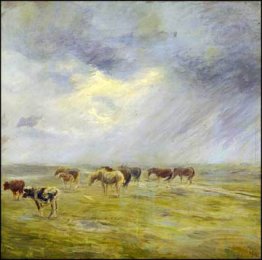 Una doccia Una doccia