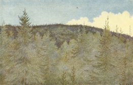 Der Floei En Fugl Oltre Granehei Der Floei En Fugl Oltre Granehei