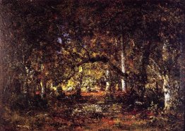 All'interno del bosco All'interno del bosco