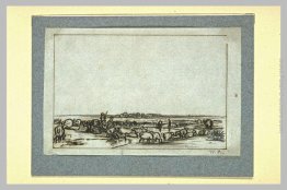 Gregge di pecore in un pascolo Gregge di pecore in un pascolo