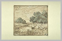 Ciuffi di alberi lungo un fiume Ciuffi di alberi lungo un fiume