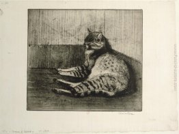 Gatto di sonno in un angolo Gatto di sonno in un angolo