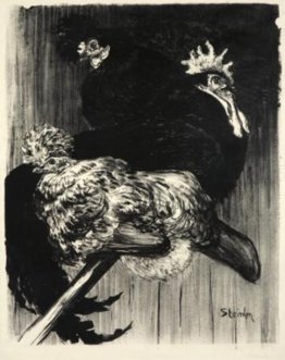 Coq et Poules Coq et Poules