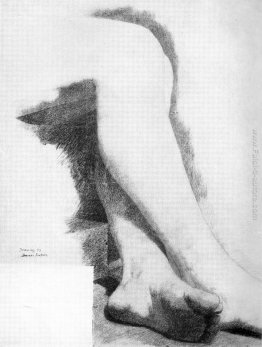 Le gambe di una modella seduta Le gambe di una modella seduta