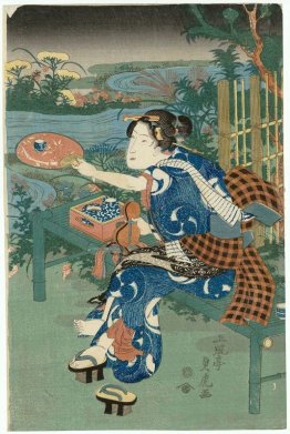 Moda Piante Sette autunnali Moda Piante Sette autunnali