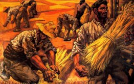 The Harvest The Harvest