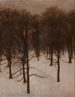 S?ndermarken Park in inverno S?ndermarken Park in inverno