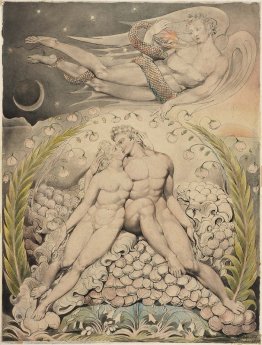 NON RILEVATO NON RILEVATO