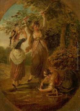 The Nut-raccoglitori The Nut-raccoglitori