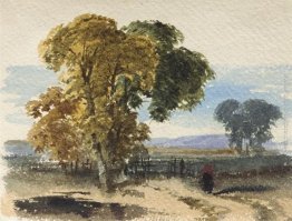 Paesaggio palustre (Albero Study) Paesaggio palustre (Albero Study)