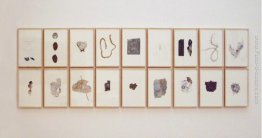 Il ritorno di bellezza Il ritorno di bellezza