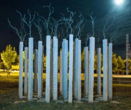 Sobre a floresta Sobre a floresta