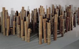 Uma floresta para os sonhos teus Uma floresta para os sonhos teus