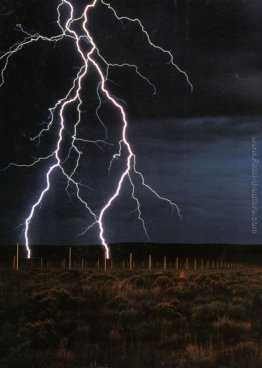 The Lightning Field The Lightning Field