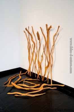 Evoca??es d'água Evoca??es d'água