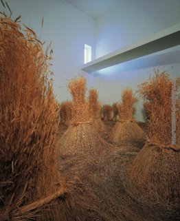 Um campo depois da colheita para deleite estético fare Nosso Cor Um campo depois da colheita para deleite estético fare Nosso Cor