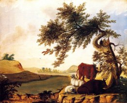 Paesaggio Paesaggio