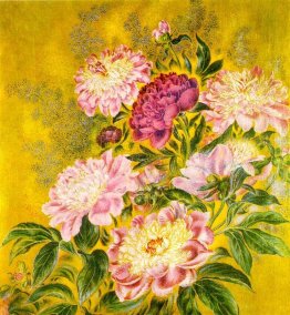 Peonie Peonie
