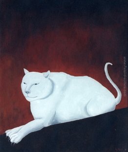 Gatto bianco Gatto bianco
