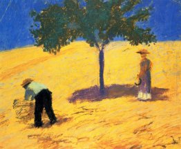Albero nel campo di grano Albero nel campo di grano