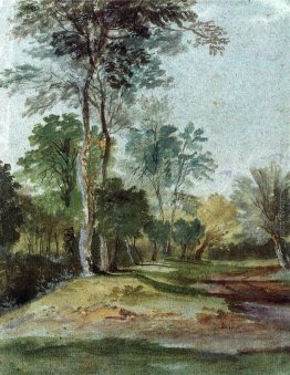 Viale del paese Viale del paese