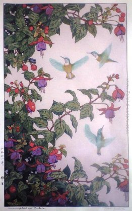 Colibrì e fucsia Colibrì e fucsia