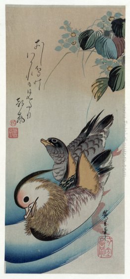 Due Mandarin Ducks Due Mandarin Ducks