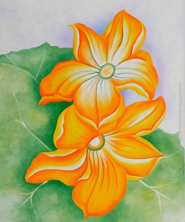 Fiori di zucca