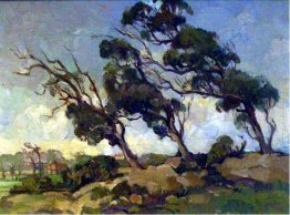 Alberi ventoso