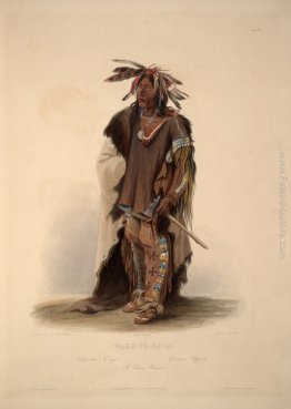Wahk-Ta-Ge-Li, un Sioux Warrior, piatto 8 dal volume 2 di "Trave