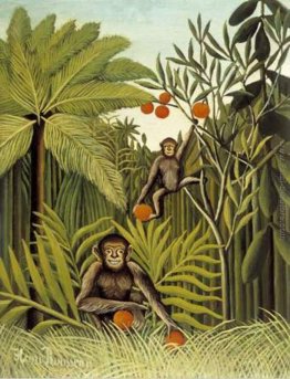Le Scimmie nella giungla