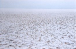 275 piedi sotto il livello del mare