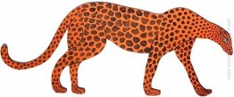 Il Grande Cheetah
